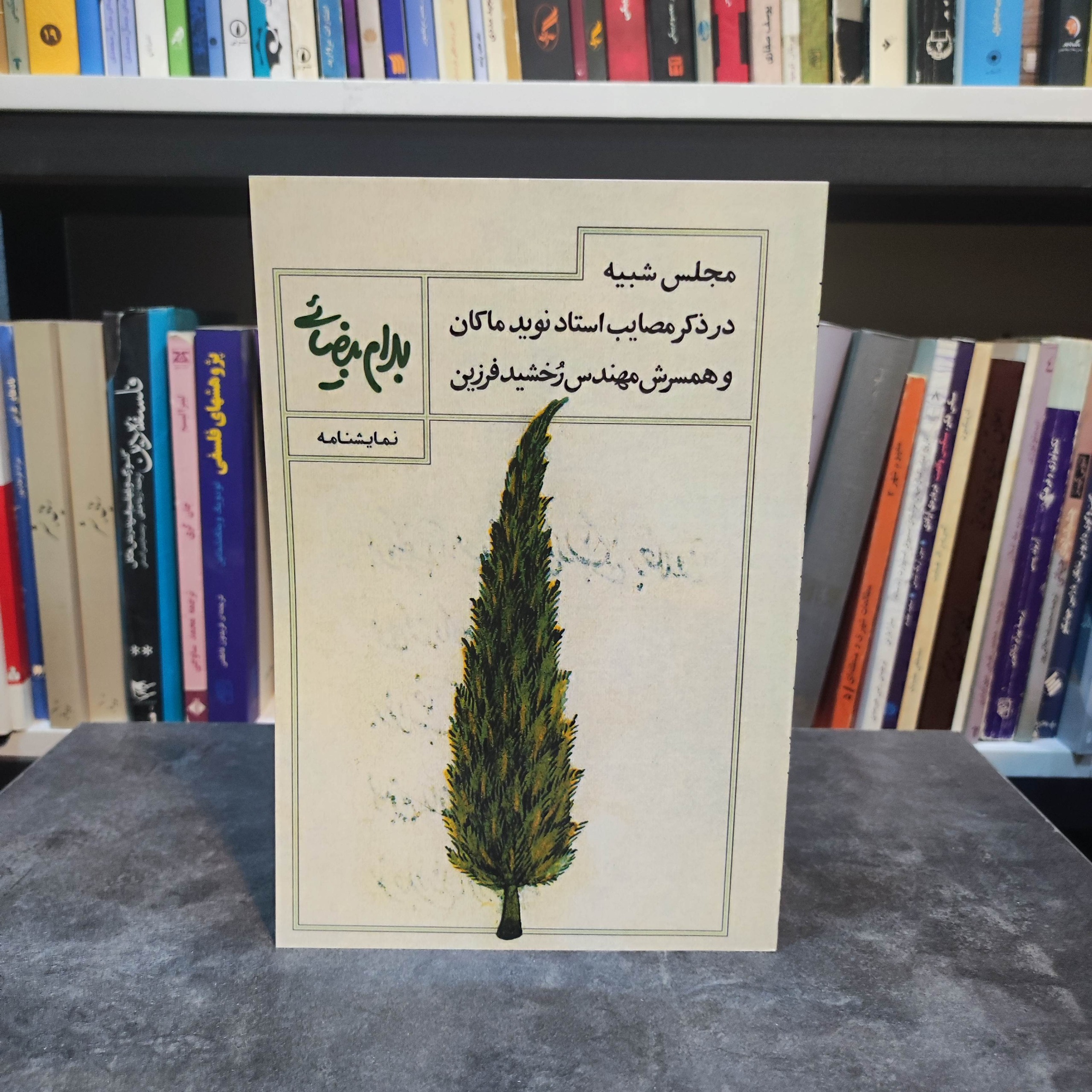 مجلس شبیه در ذکر مصایب استاد نوید ماکان