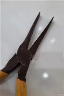 دم