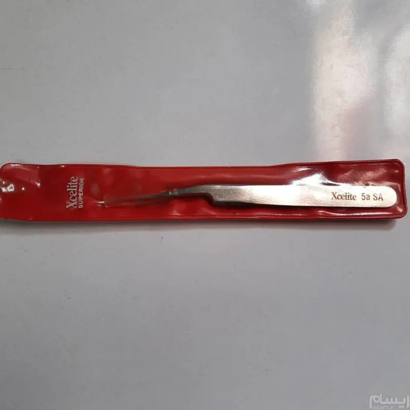 پنس زلایت امریکا