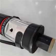 پیچگوشتی