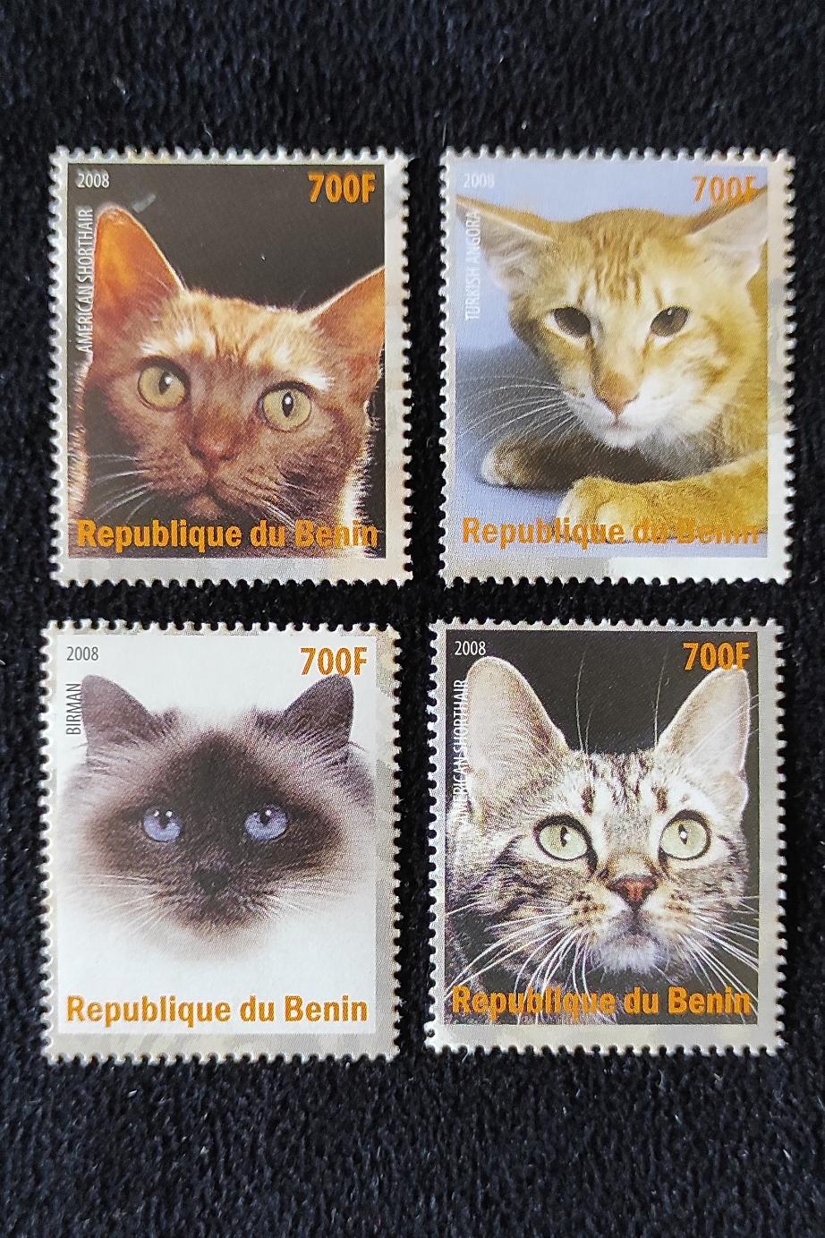سری گربه چاپ بنین افریقا 2008