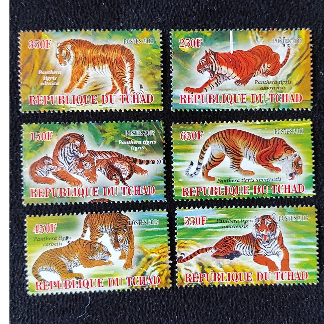 سری ببر چاپ افریقا چاد 2013