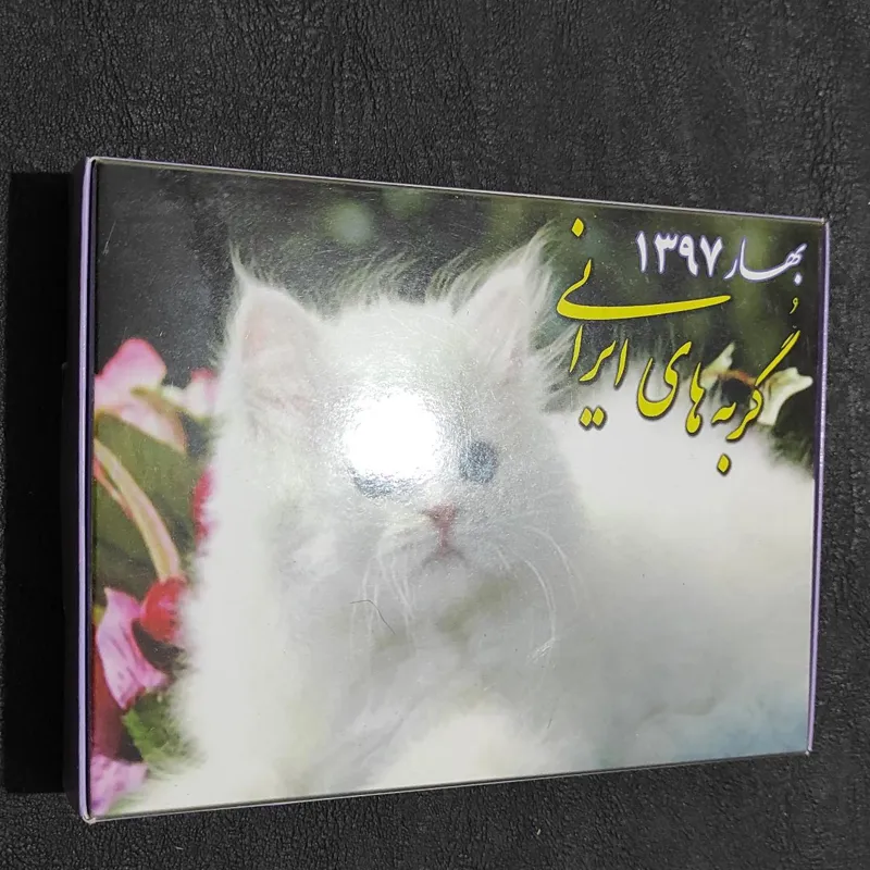 مجموعه 18 عددی بهار 1397 گربه ایرانی ساخت توکلی