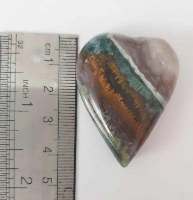 سنگ درشت کلکسیونی شجر هفت رنگ کمیاب