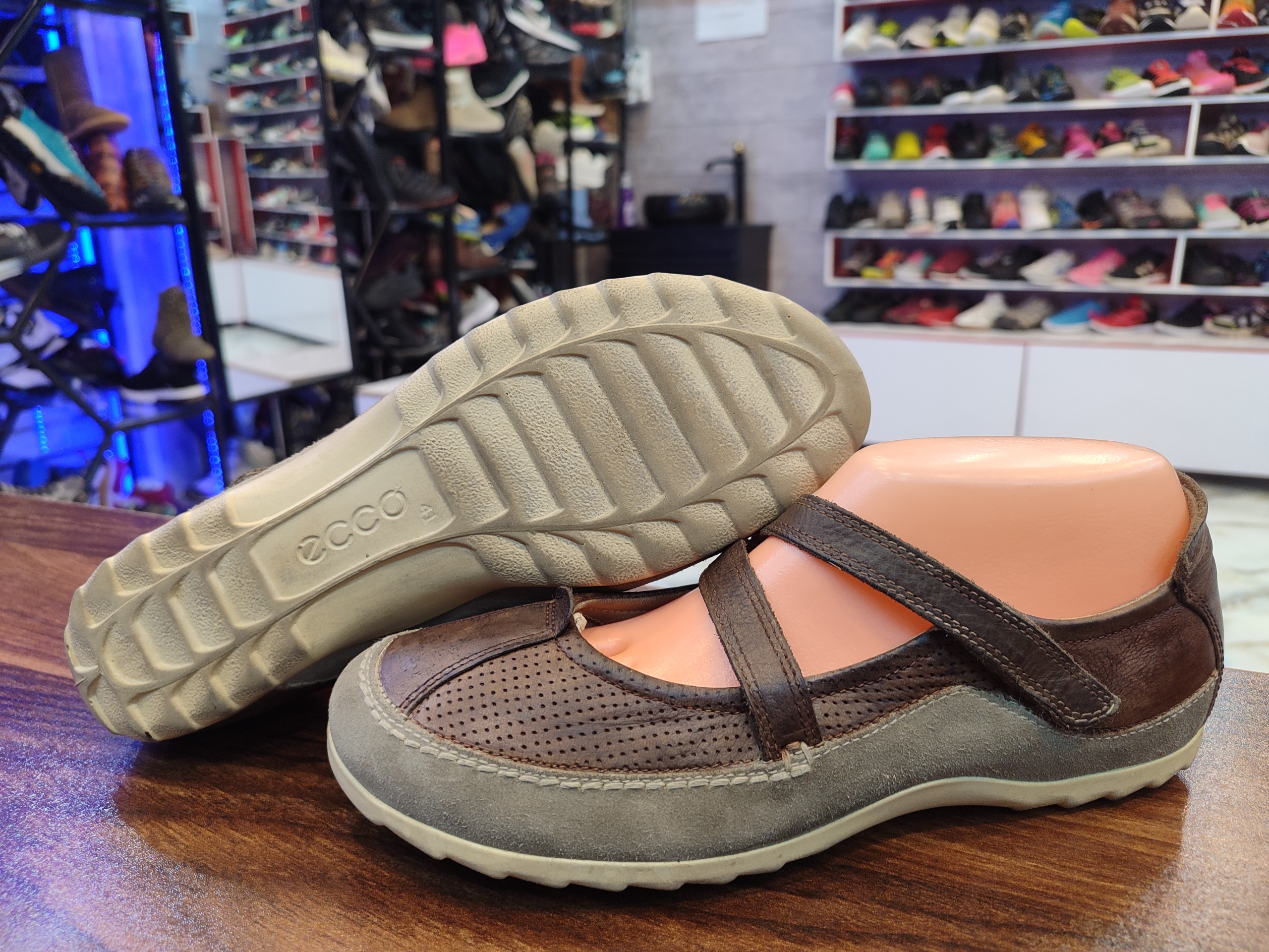 کالج اورجینال Ecco