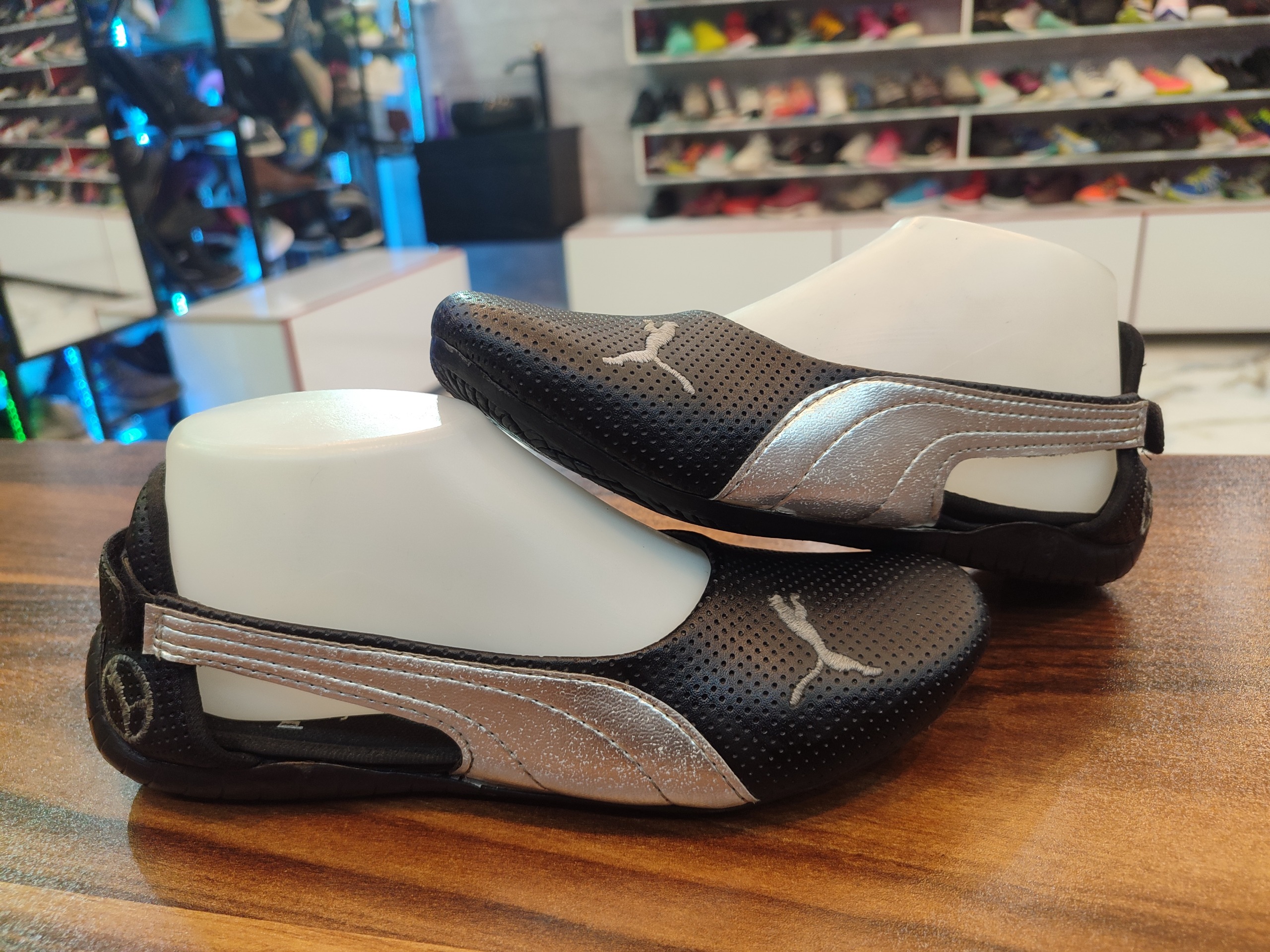 کالج اورجینال پوما