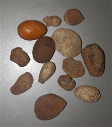 کوچیکترین