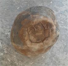 سنگگاره