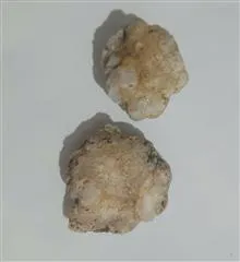 دو