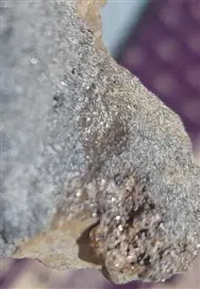 سنگ