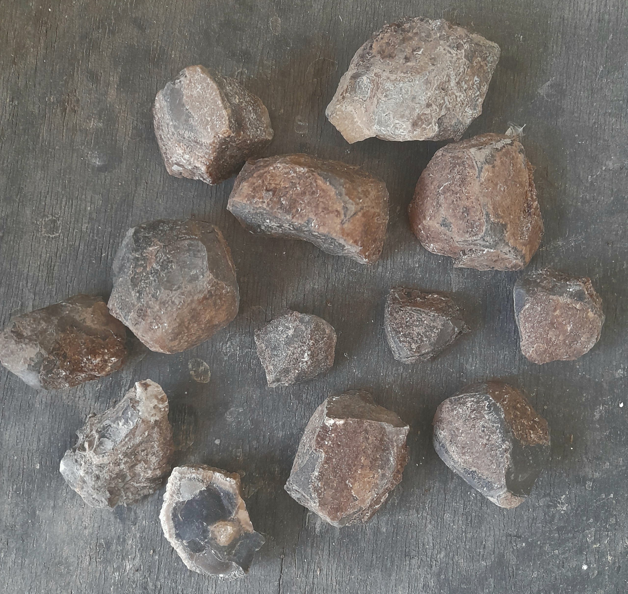 پک سنگ فسیلی