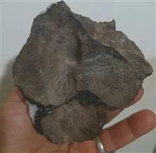 سنگ