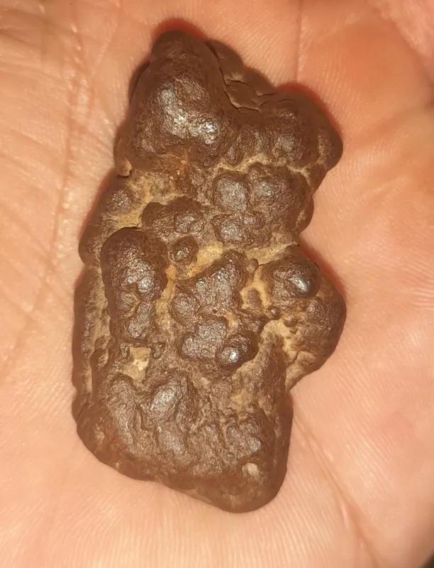 سنگ راف طبیعی هبهاب