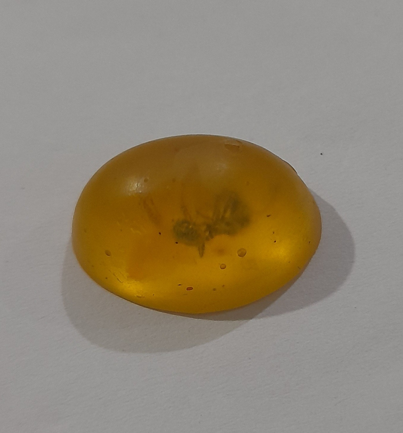 سنگ نگینی کهربای حشره دار