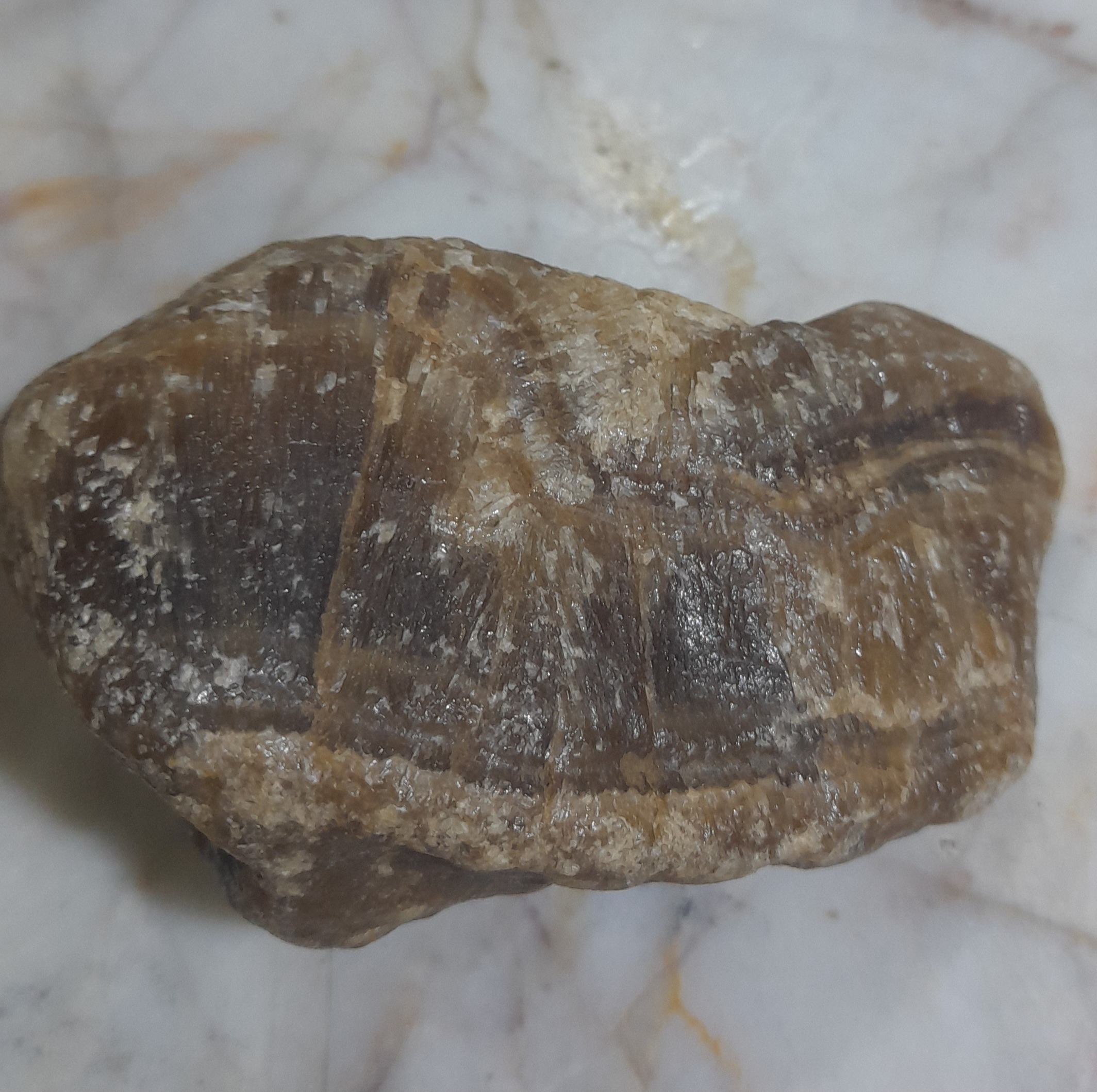 سنگ راف طبیعی کلسیت عسلی