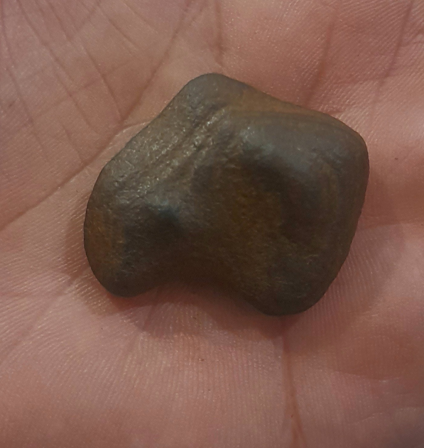 سنگ راف طبیعی هبهاب