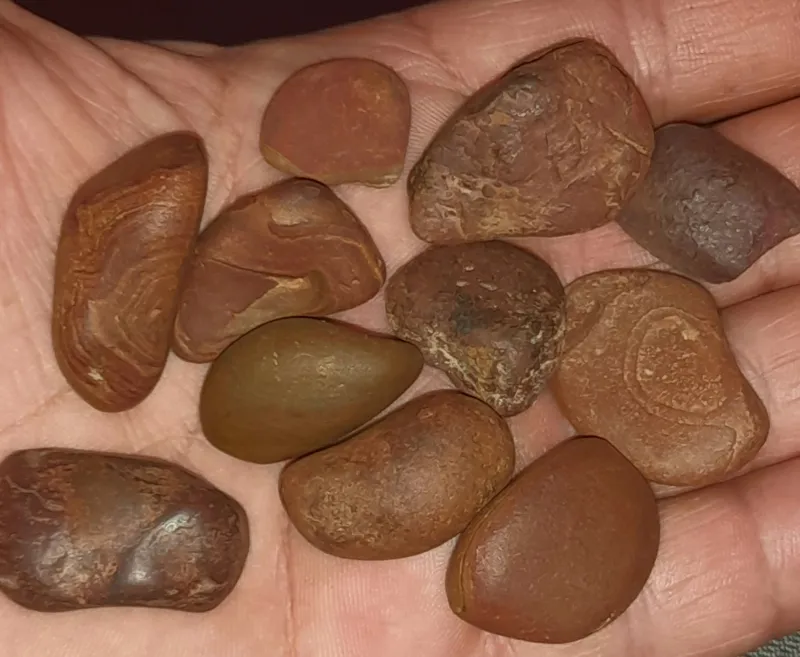 پک 10 عددی سنگای جاسپر. و هبهاب حدید