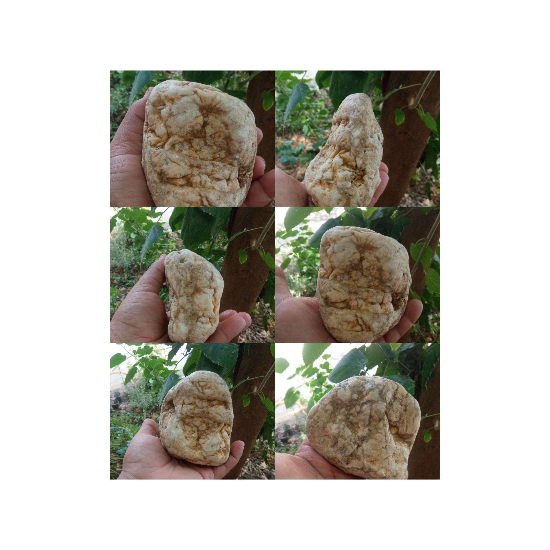 یه سنگ قدیمی که هر طرفش یه رخ یا نیمرخ انسان