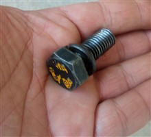 تعداد