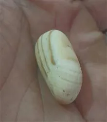 سنگ