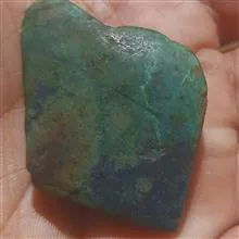 همرشدی