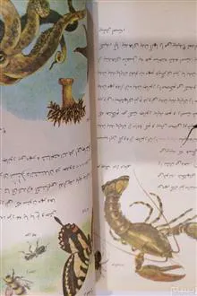 کتاب