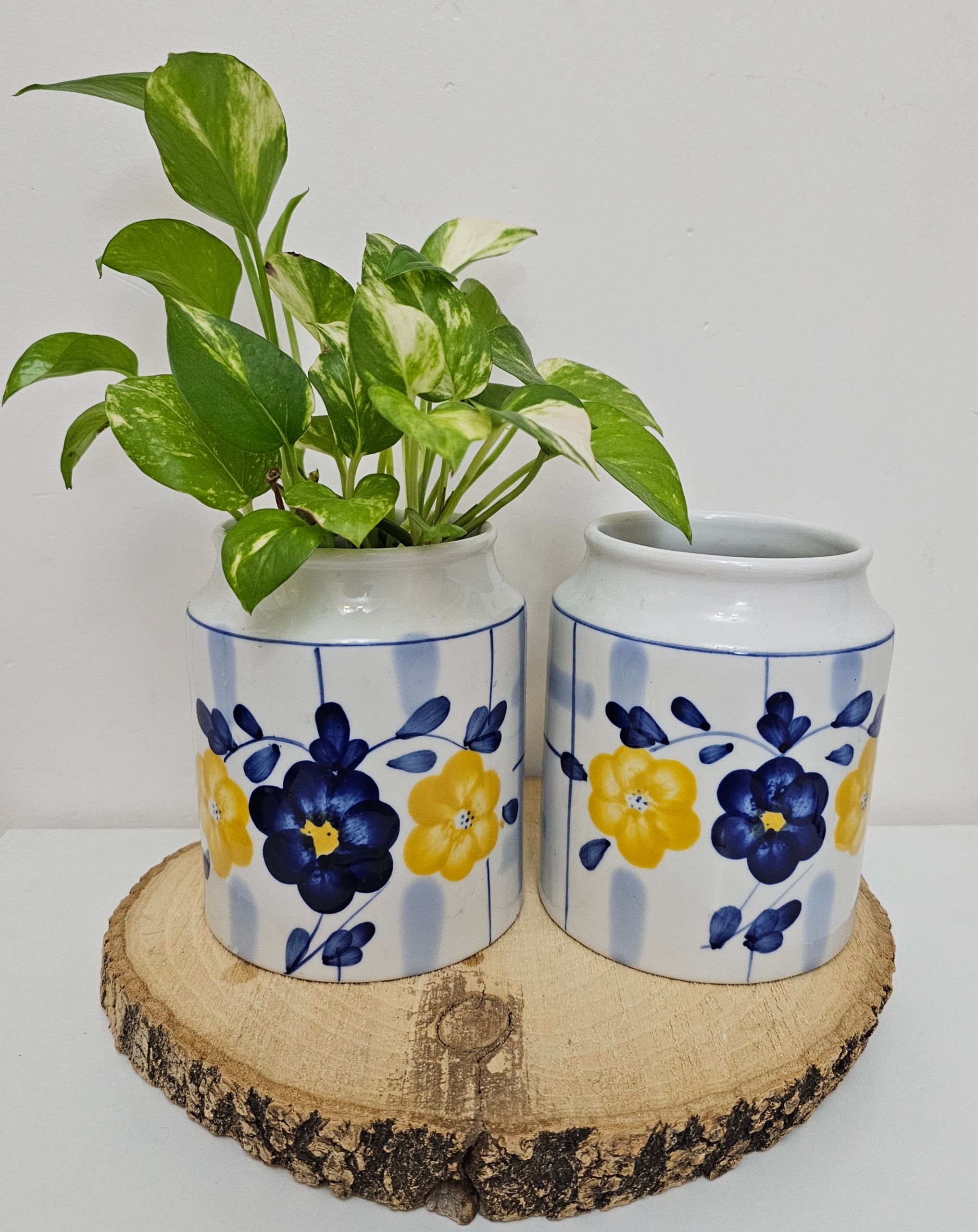 گلدان گل پنبه ای زیبا خاص