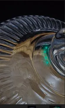کیک