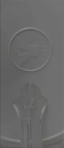دیس
