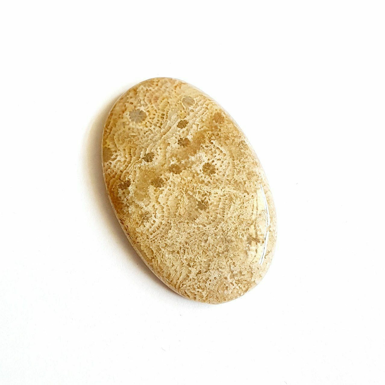 نگین فسیل مرجان