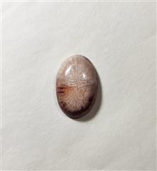 نگین