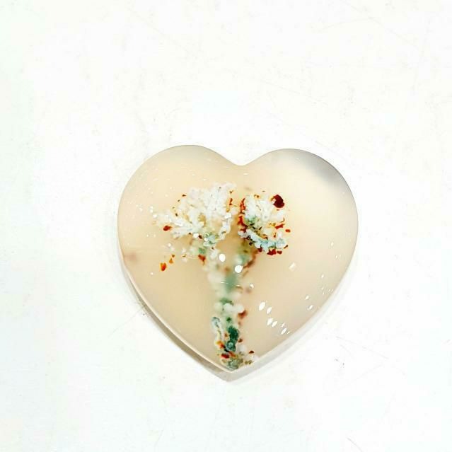 شجر بهاری تراش قلبی