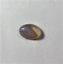 شجر