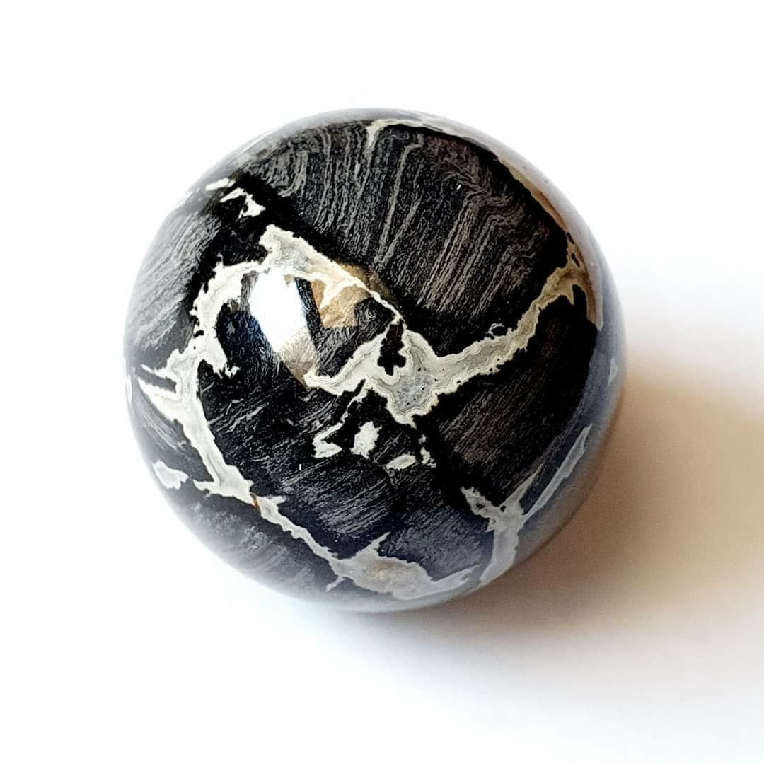 گوی کرینوئید مراکشی