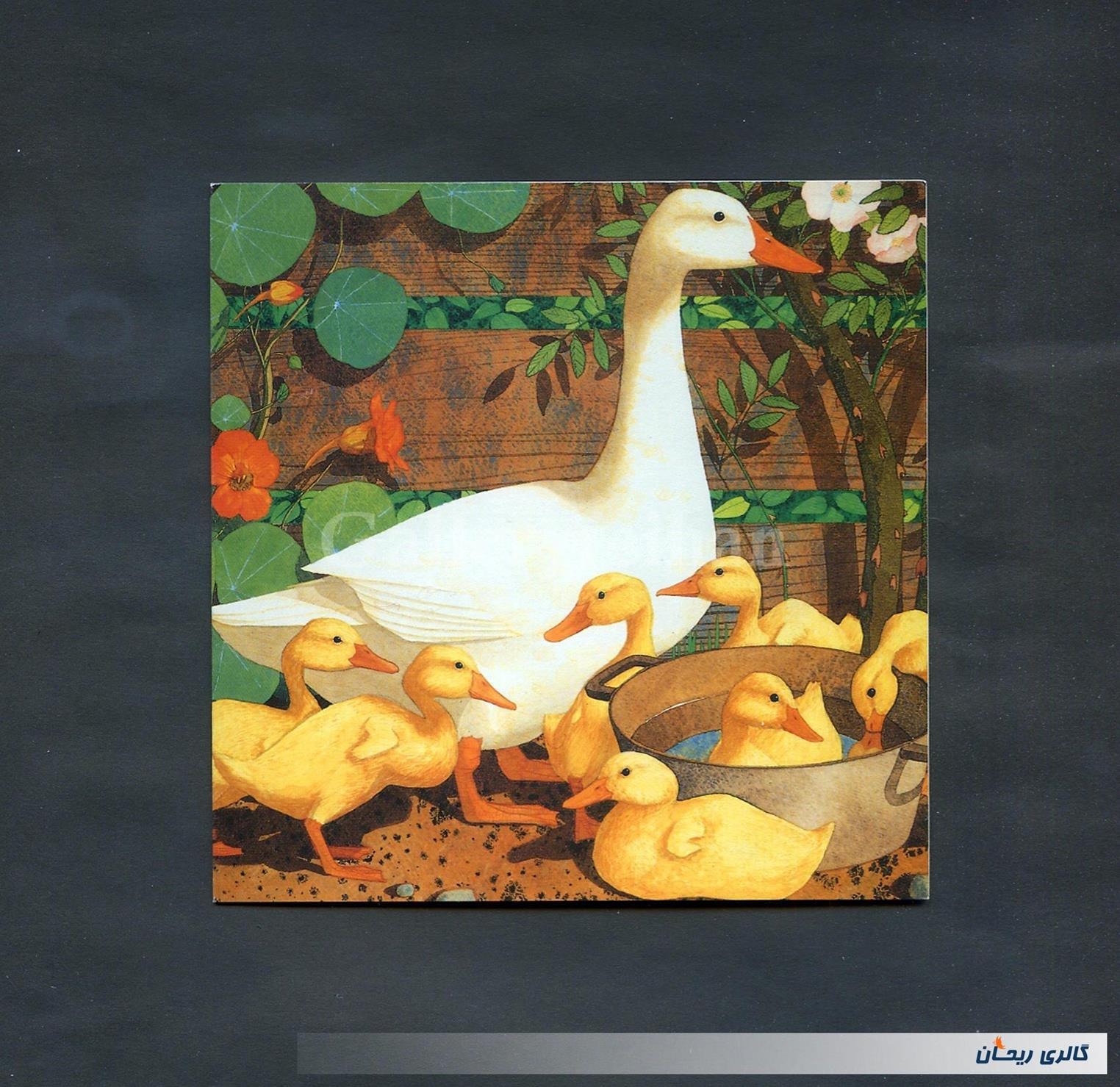 کارت پستال انتشارات وودفیلد طرح غاز (کد48302)