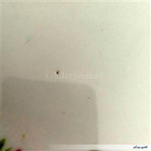 جفت