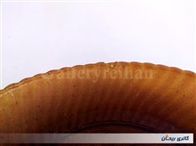 پیش
