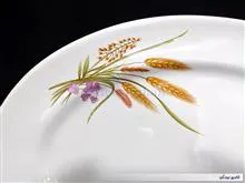 دیس