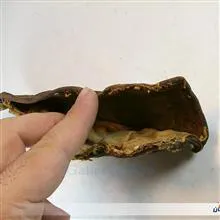 جا