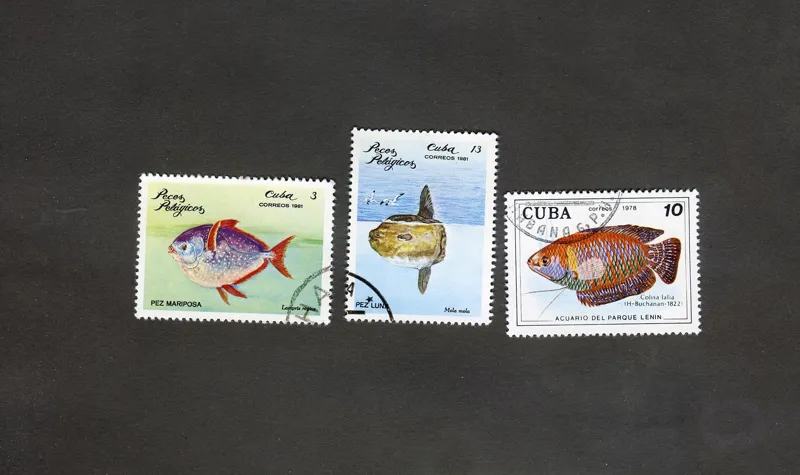 سری 3 عددی تمبر ماهی ها کشور کوبا (کد20313)