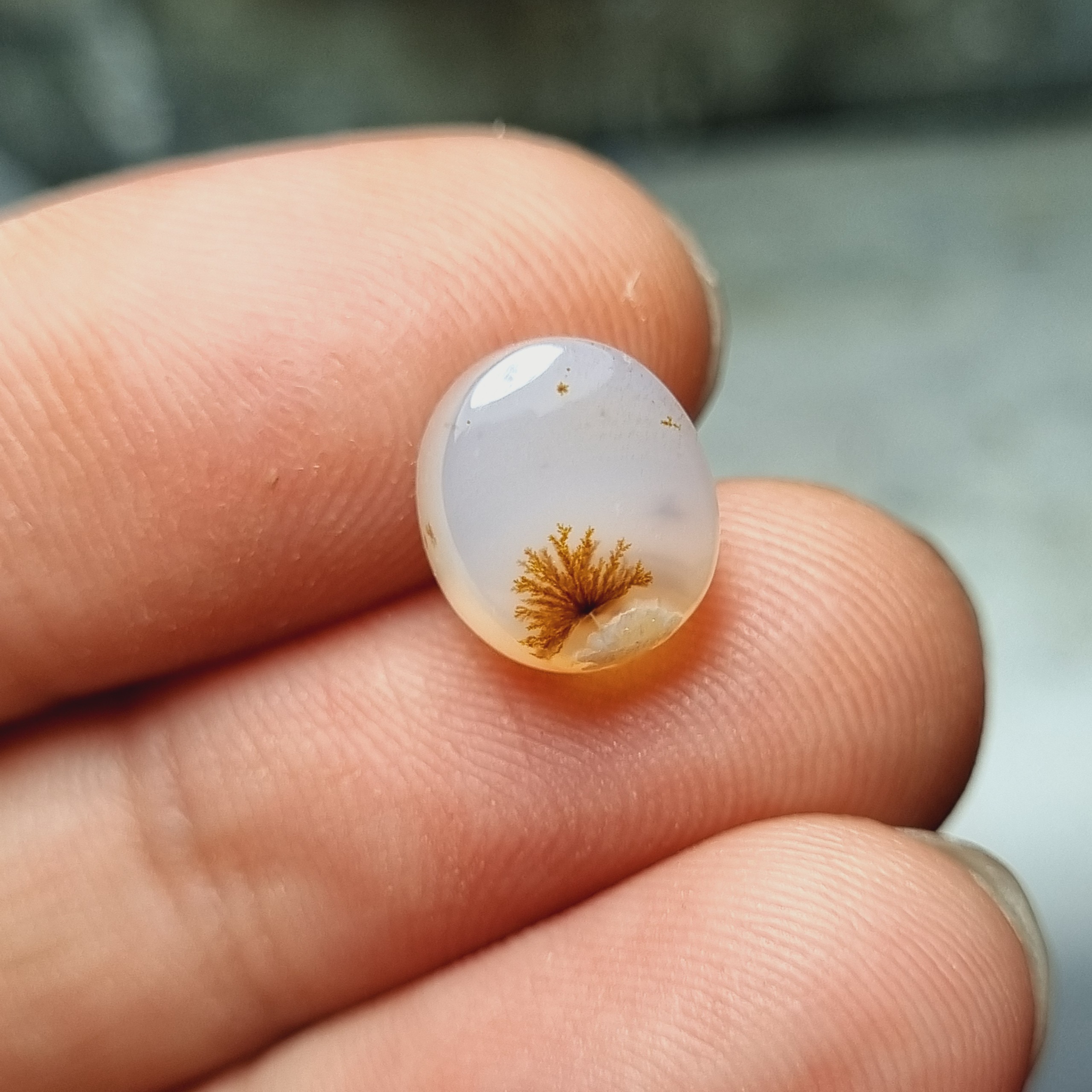 نگین شجر تک بوته طبیعی سایز 9 در 8 mm