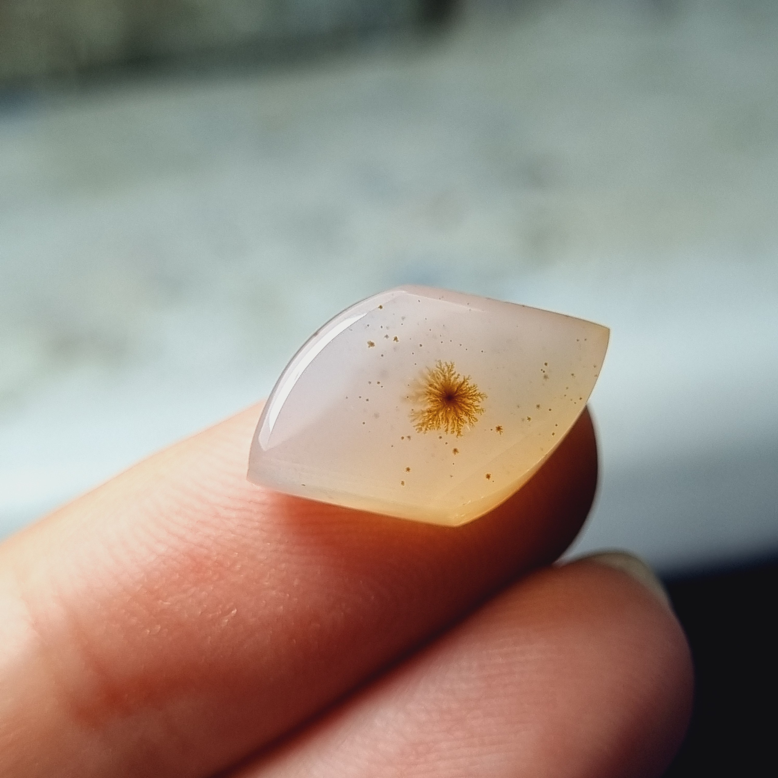 شجر قاصدکی طبیعی تراش خاص 11 در 17 mm
