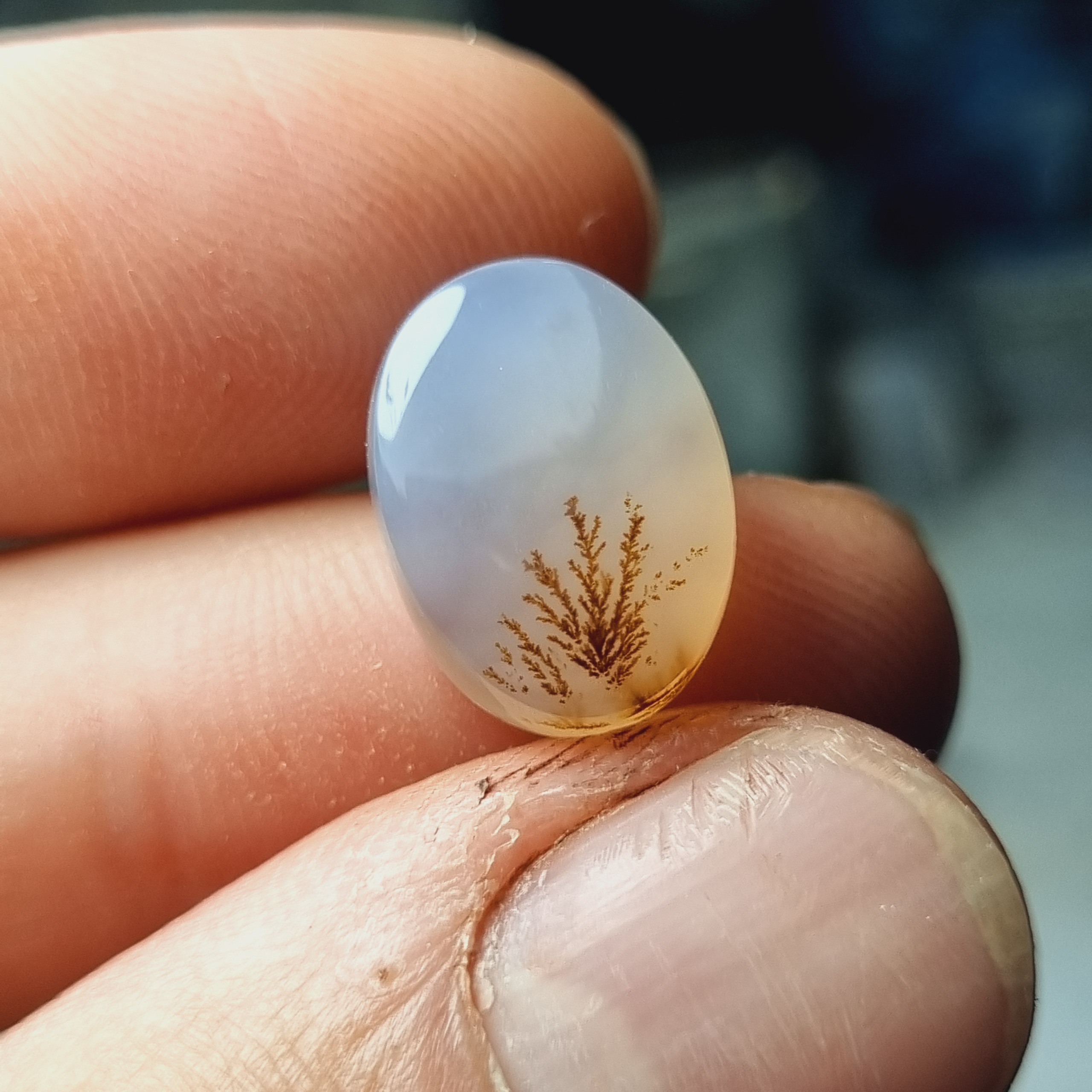 عقیق شجر طبیعی بیضی 11 در 15 mm
