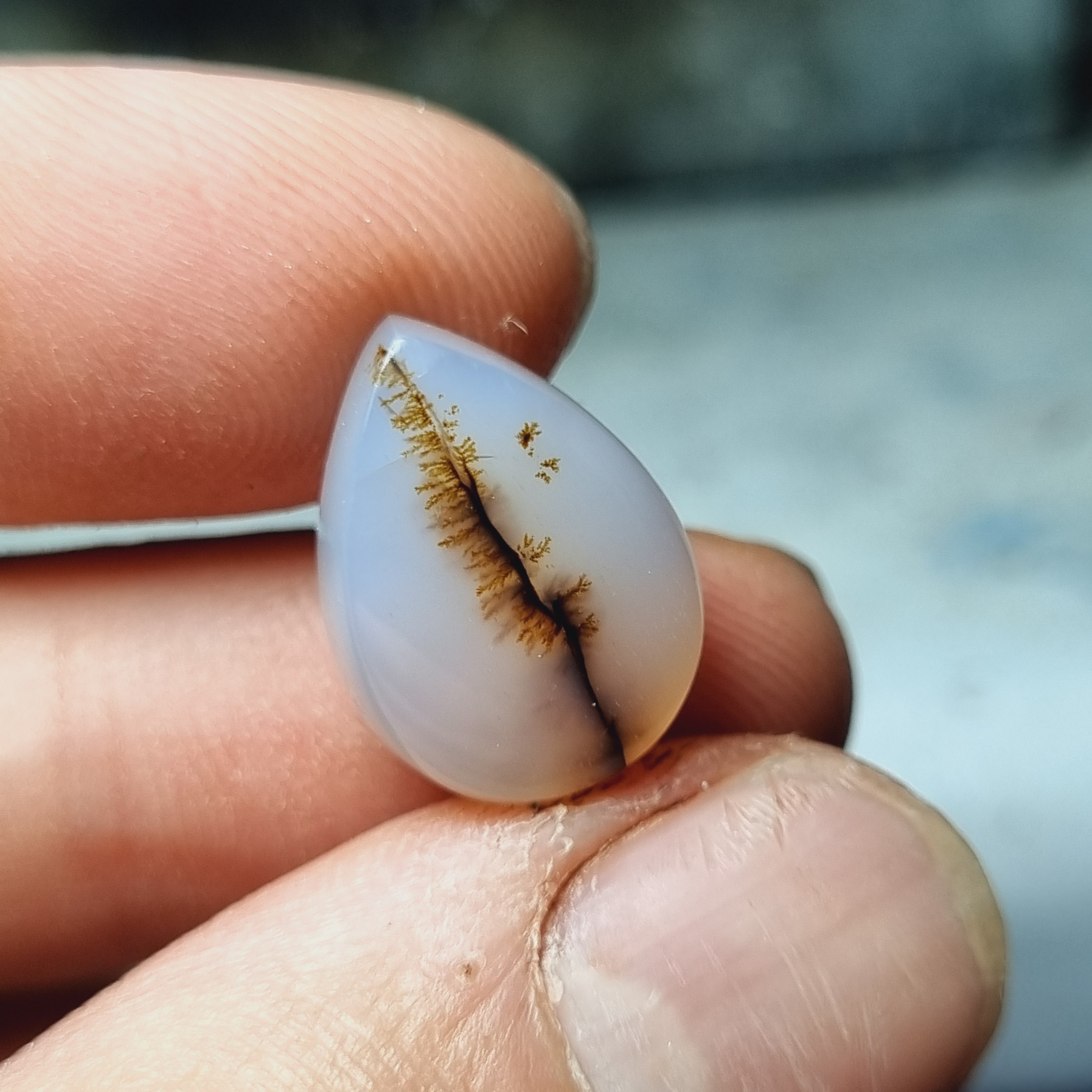 شجر طبیعی تراش اشکی 12 در 17 mm