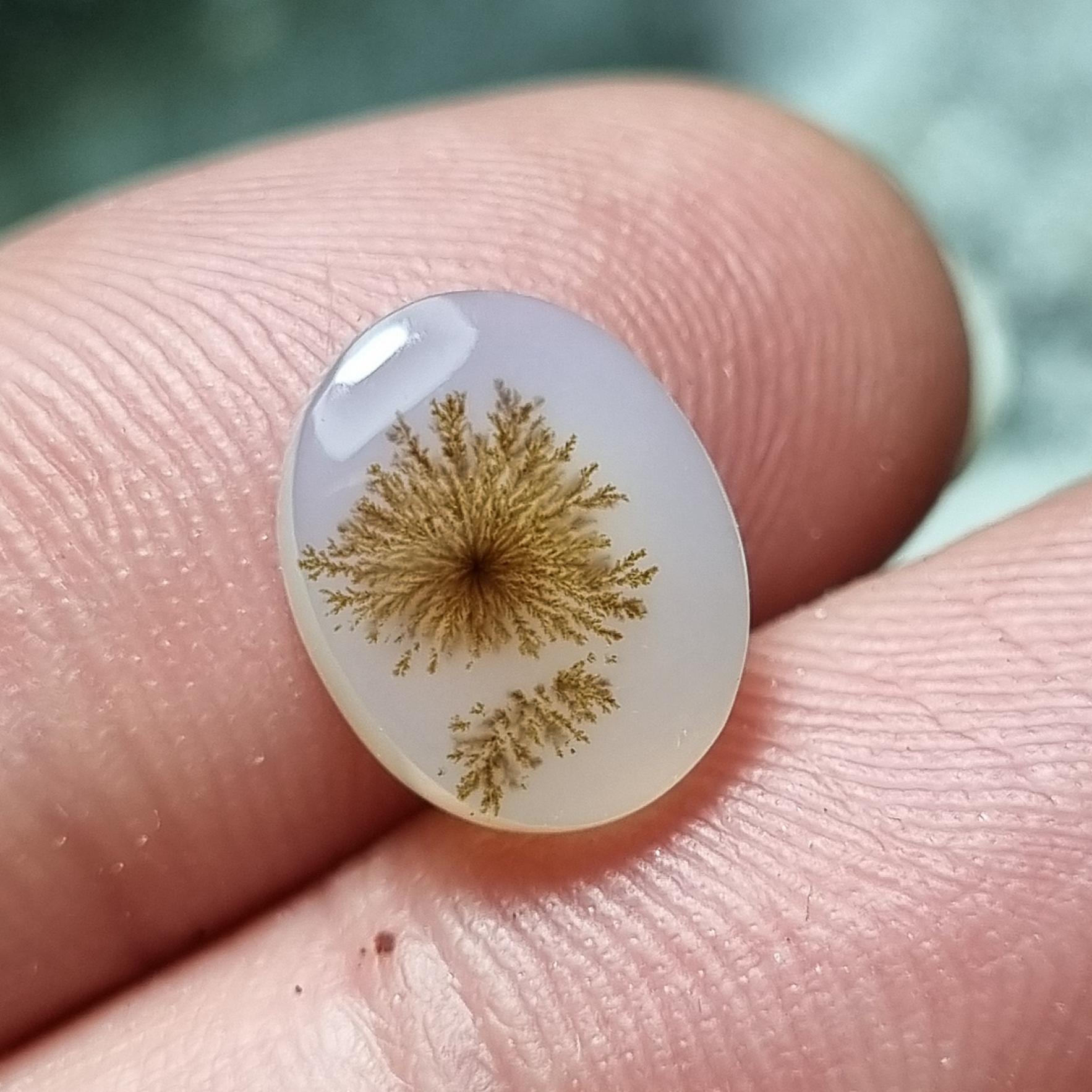 نگین شجر قاصدکی طبیعی ابعاد 12 در 9 میلیمتر