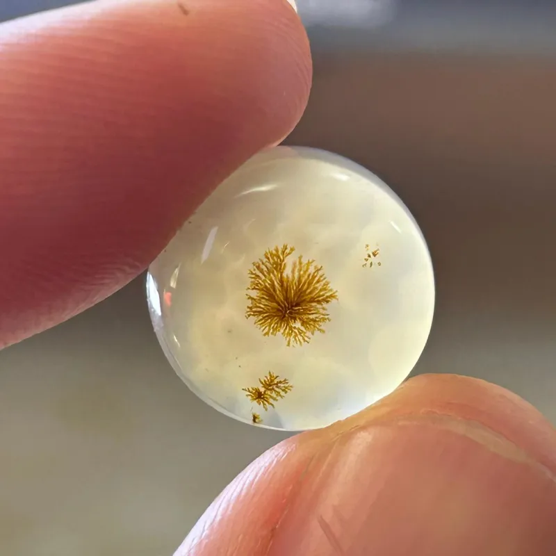 شجر طبیعی منظره واضح ابعاد 1.4 × 1.4 cm