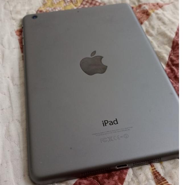 Ipad mini 2 wifi