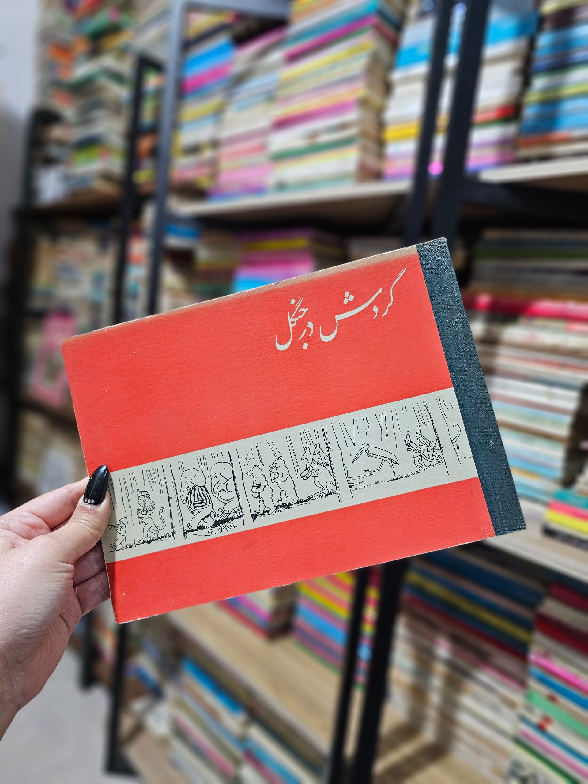 کتاب کمیاب گردش در جنگل