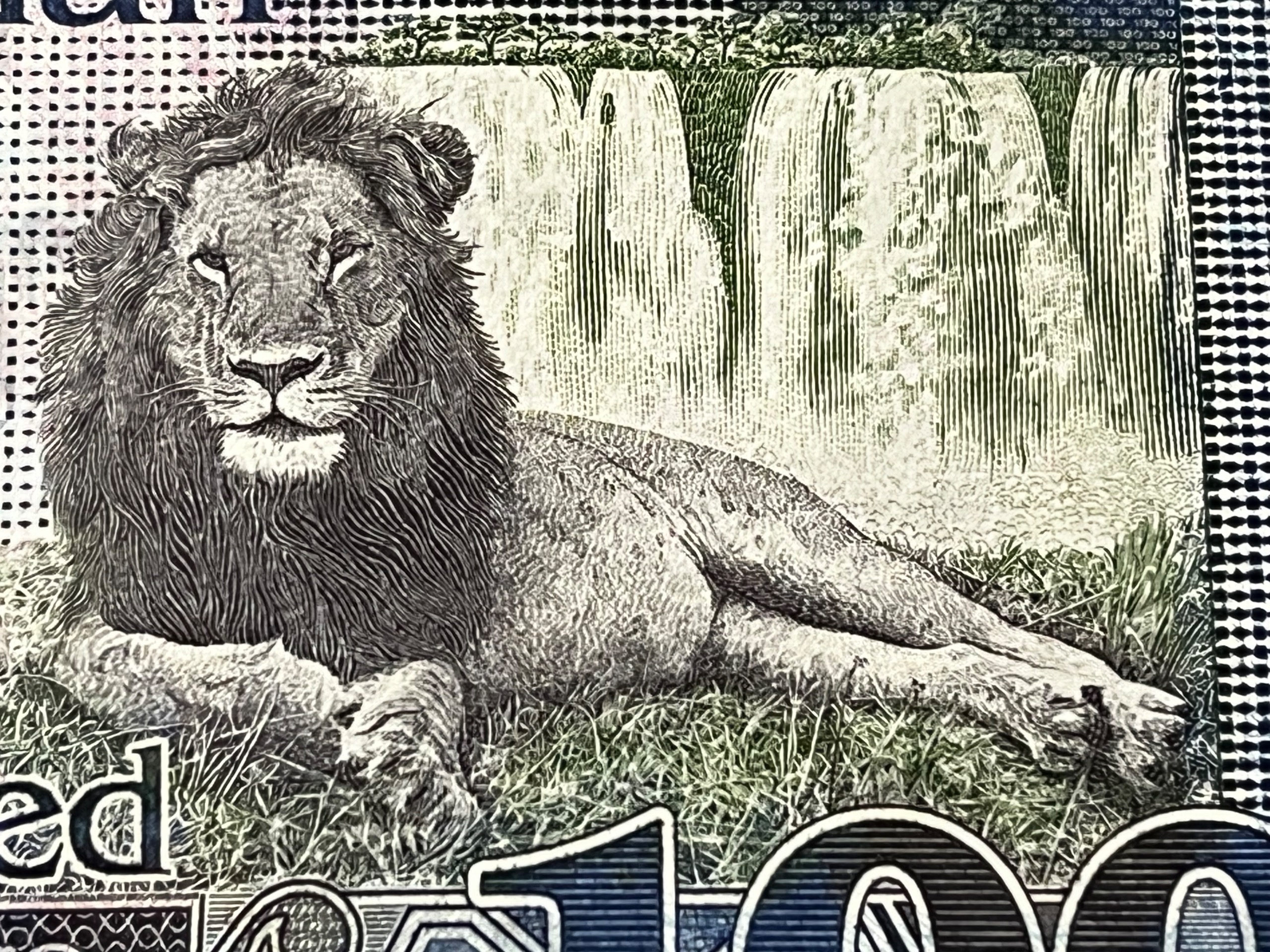 جفت اسکناس زیبای 100 پوند سودان جنوبی