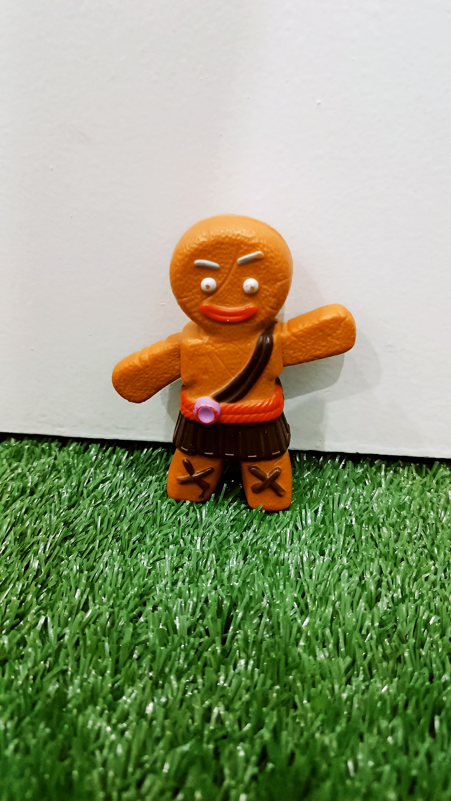 فیگور مدل بیسکوییتی